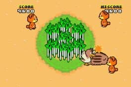 Leek Game