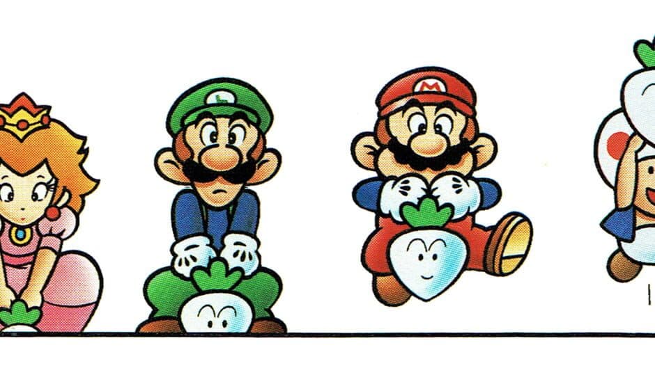 Super Mario Bros. 2 artwork 3