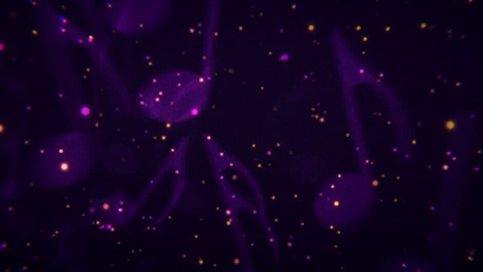 Tempo artwork 1