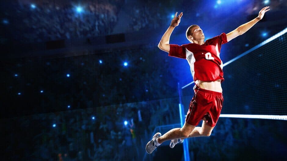 Spike Volleyball artwork 1