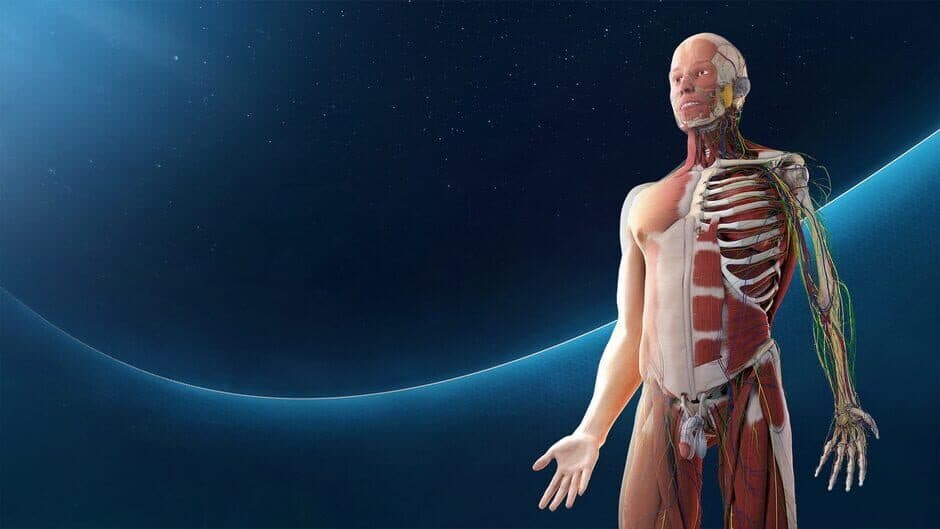 Human Anatomy VR artwork 1