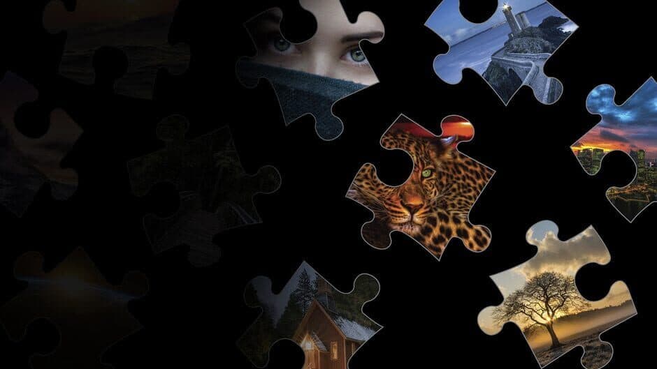 Puzzle Showdown 4K artwork 1