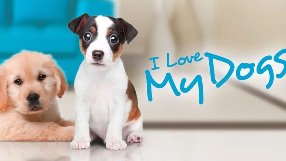 I Love My Dogs artwork 1