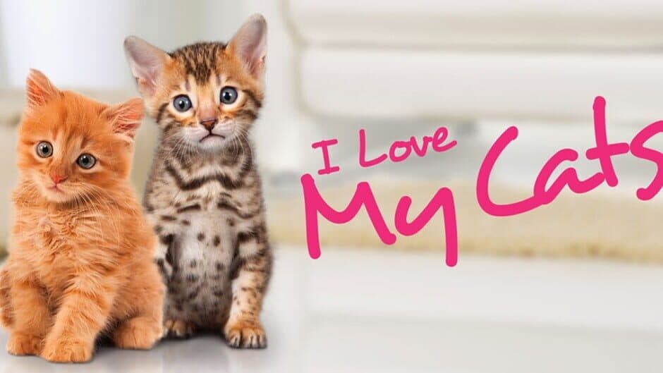 I Love my Cats artwork 1
