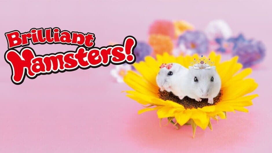 Brilliant Hamsters! artwork 1
