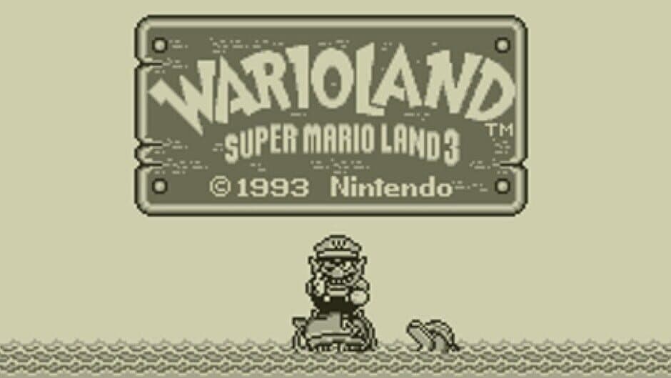 Wario Land: Super Mario Land 3 artwork 1