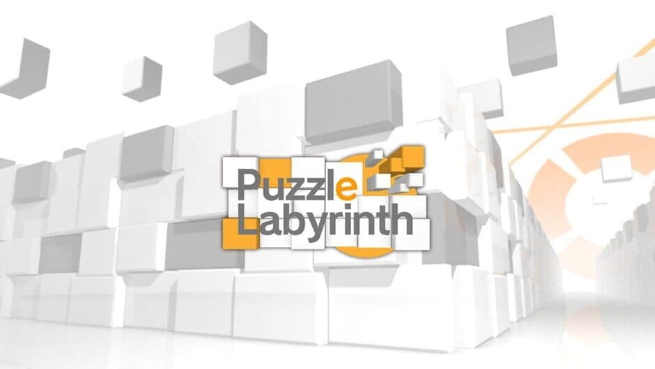 Puzzle Labyrinth artwork 1