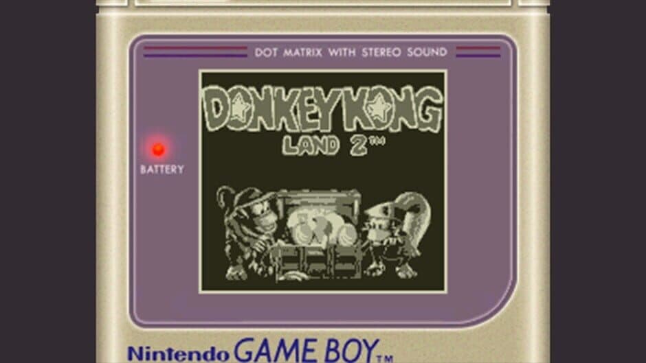 Donkey Kong Land 2 artwork 1