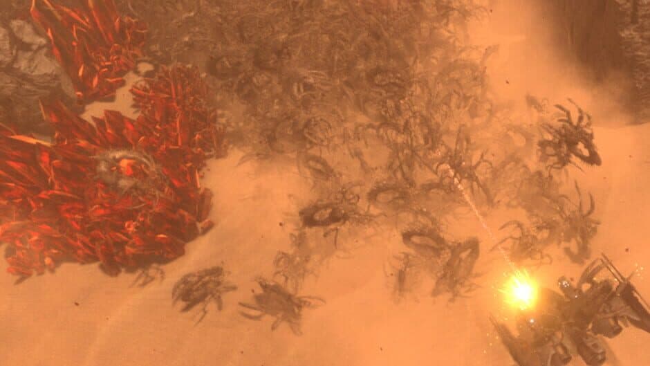 Insect Swarm artwork 1