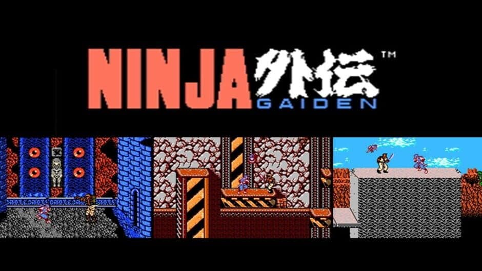 Ninja Gaiden artwork 1