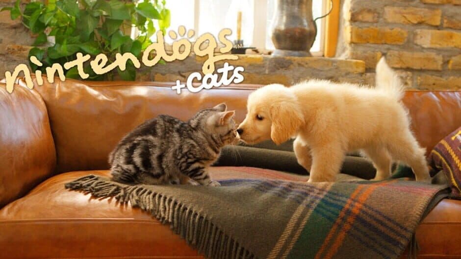 Nintendogs + Cats: French Bulldog & New Friends artwork 1
