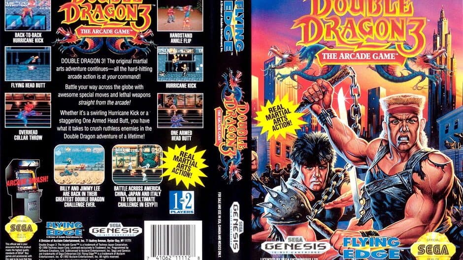 Double Dragon 3: The Arcade Game artwork 1