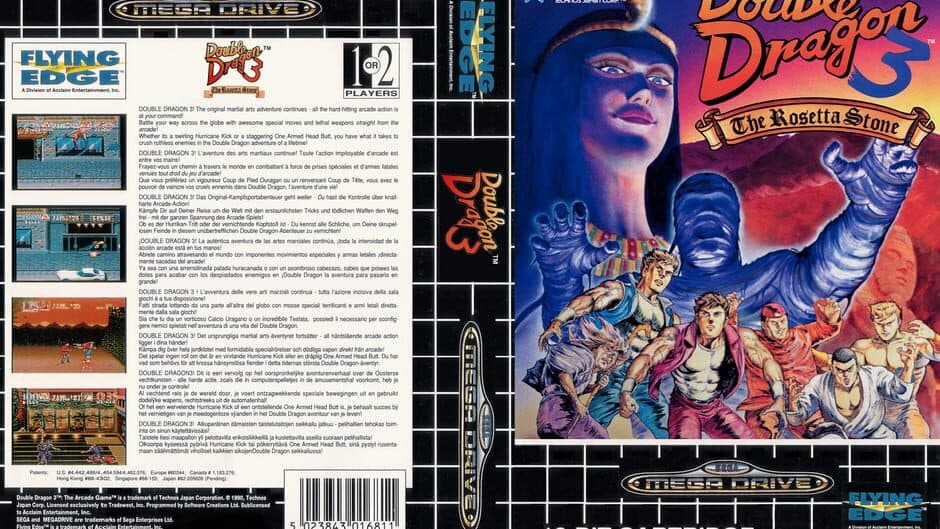 Double Dragon 3: The Arcade Game artwork 2