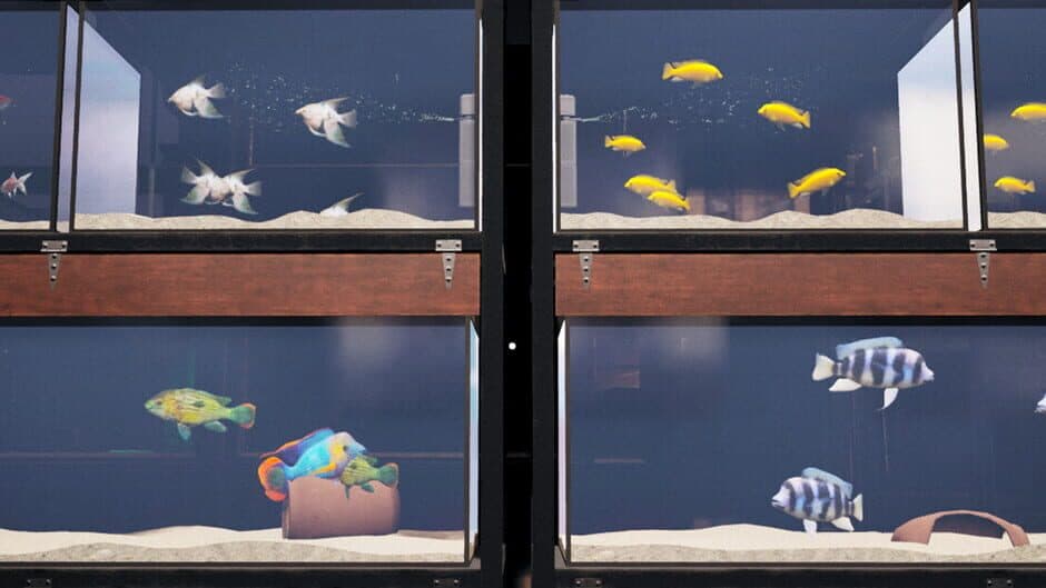 Exotica: Petshop Simulator artwork 1