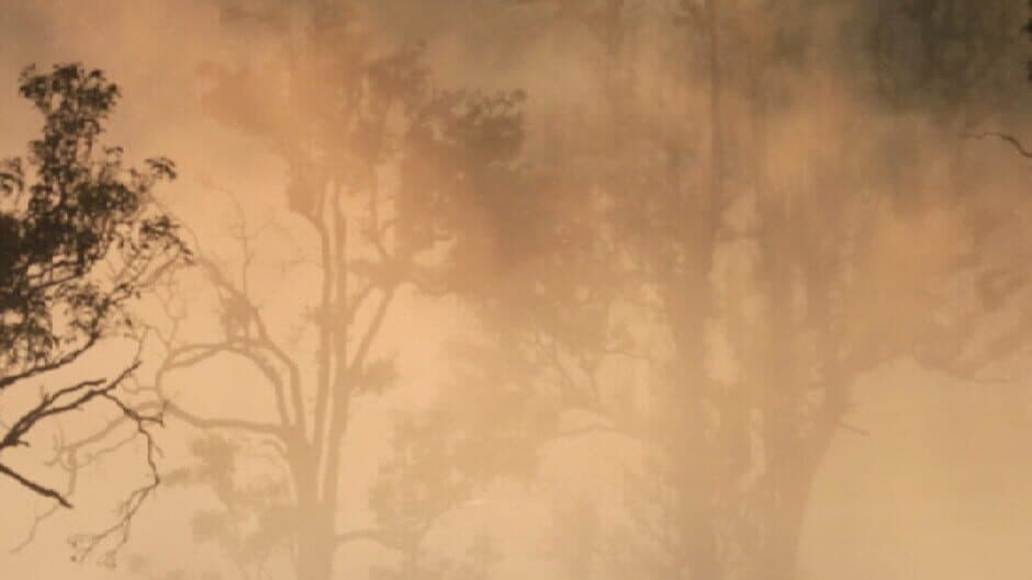 Call of the Golden Valley artwork 1