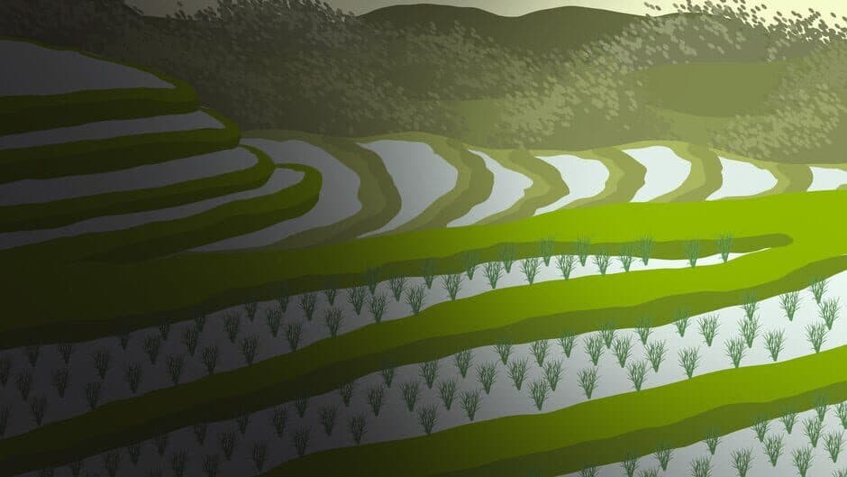 The Rice Story artwork 3