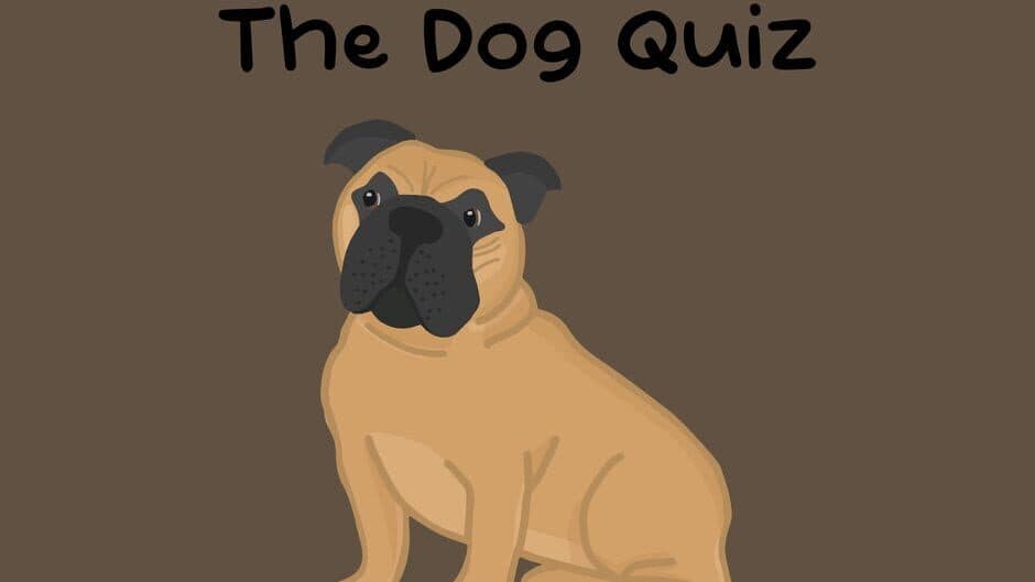 The Dog Quiz artwork 3