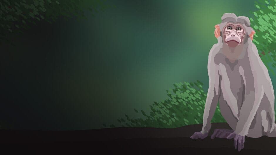The Monkey P artwork 3