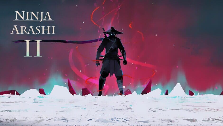 Ninja Arashi 2 artwork 1