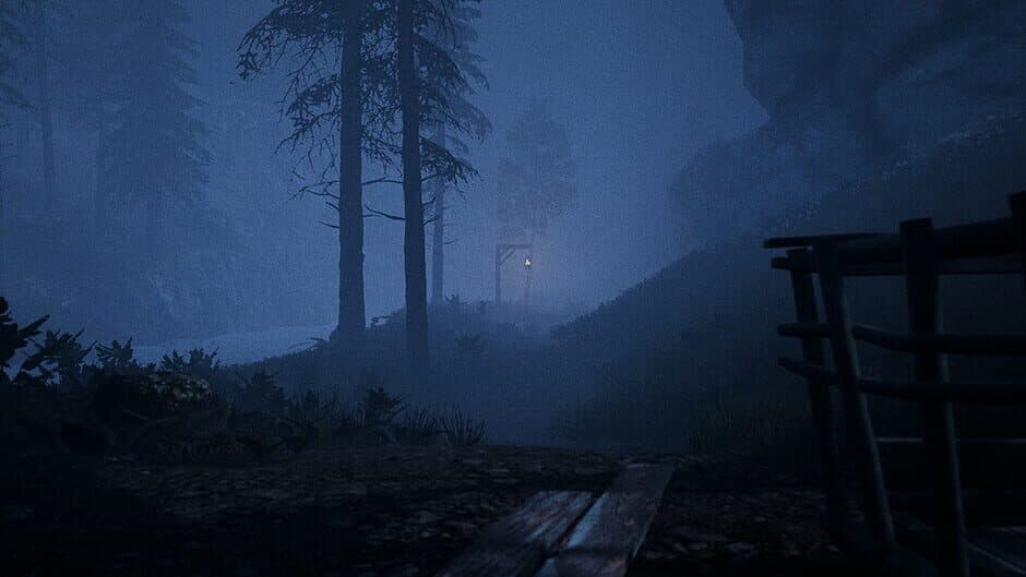 Nightwalker 2 artwork 1