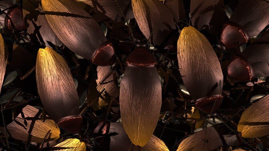 Roach Invasion artwork 1