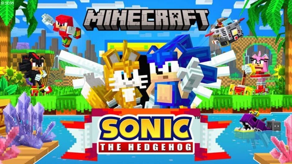 Minecraft: Sonic the Hedgehog artwork 1