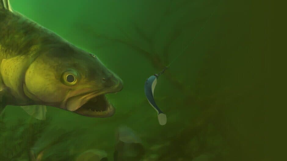 Professional Fishing 2 artwork 1