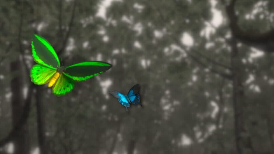 Lepidoptera artwork 1