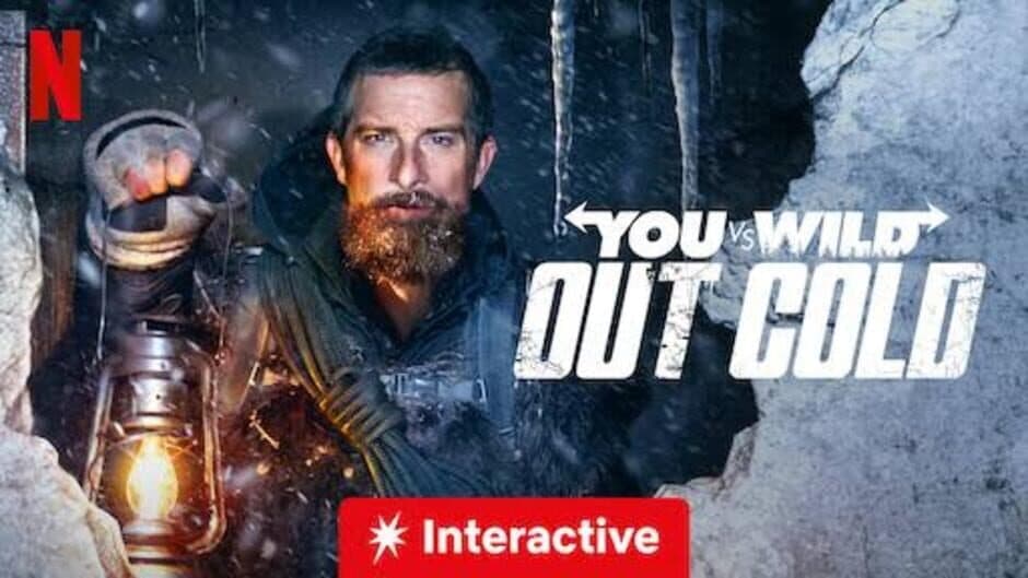 You vs. Wild: Out Cold artwork 2