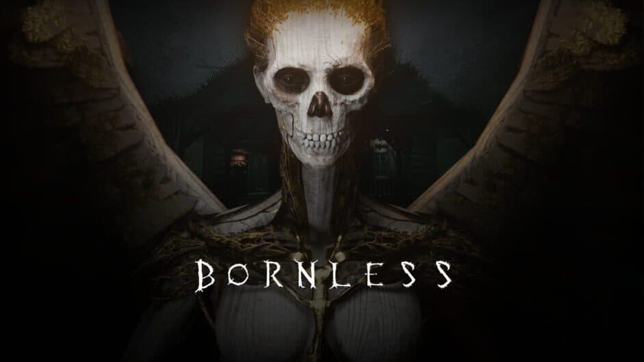 The Bornless artwork 1