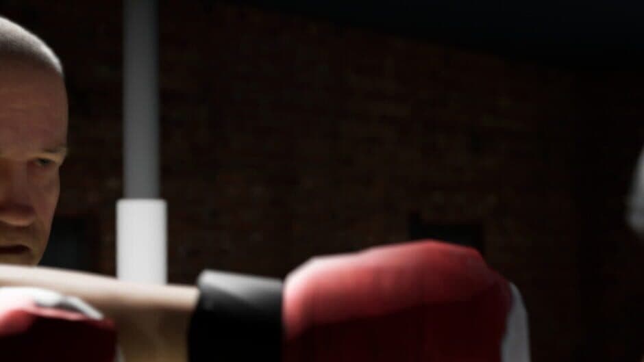 True Boxing VR artwork 1