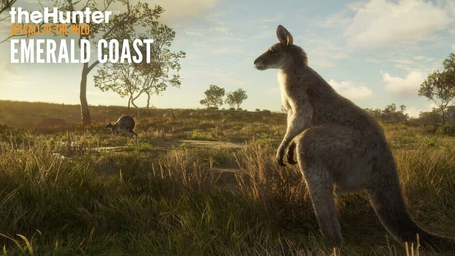 theHunter: Call of the Wild - Emerald Coast Australia artwork 1