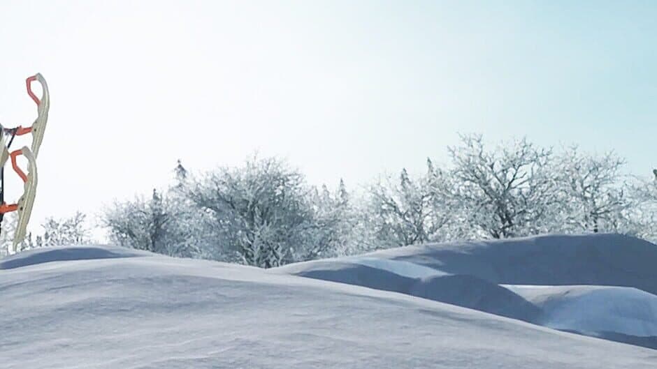 Sledders artwork 1