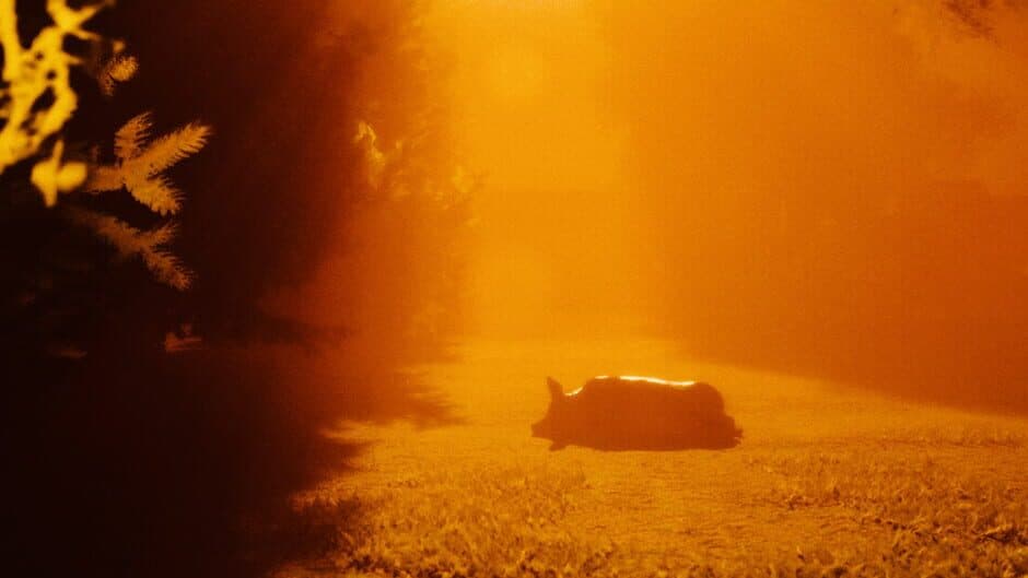 Of Dead Earth artwork 1