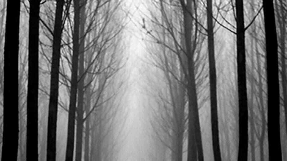 Don't Go in the woods artwork 1