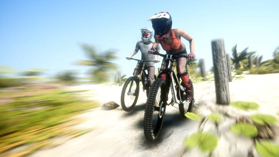 Total Trails artwork 2