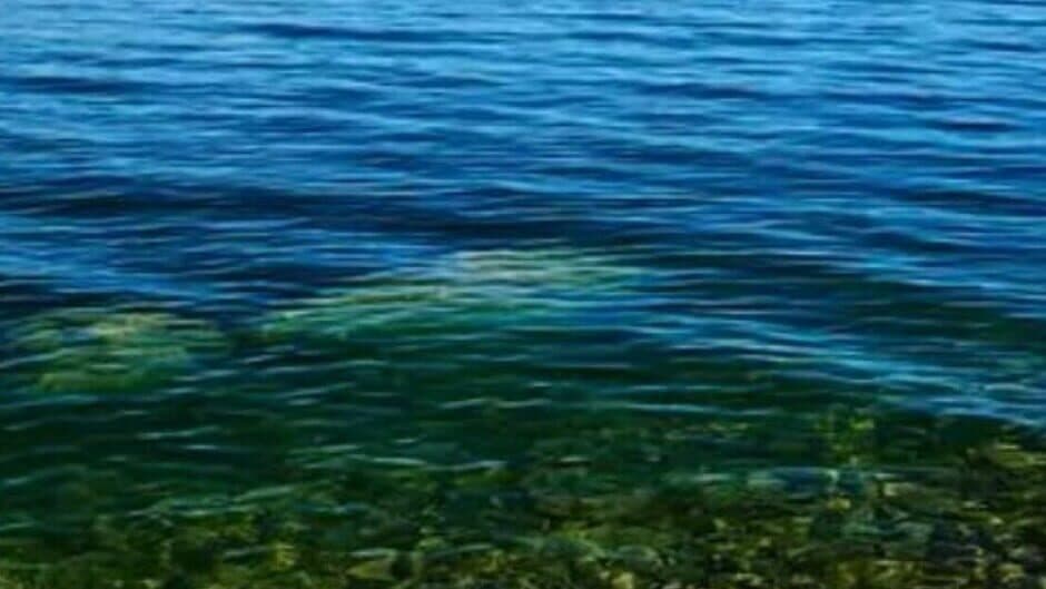 Underwater world artwork 1