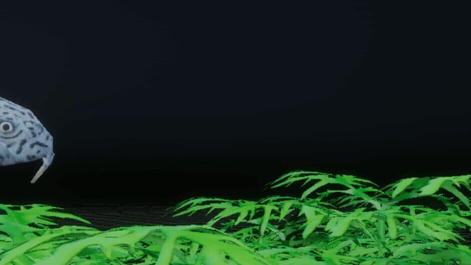 CEO Fish artwork 1