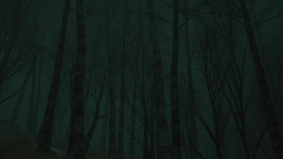 Descending The Woods artwork 1