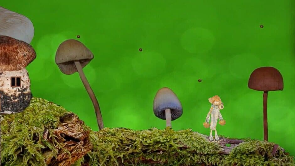 FungEye artwork 1