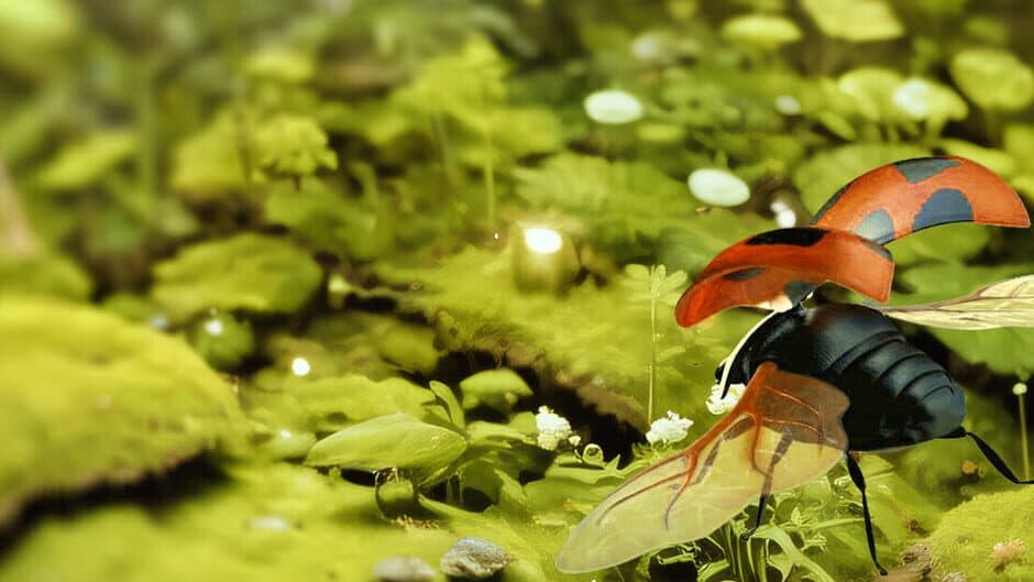 Insect Flight Simulator VR artwork 1