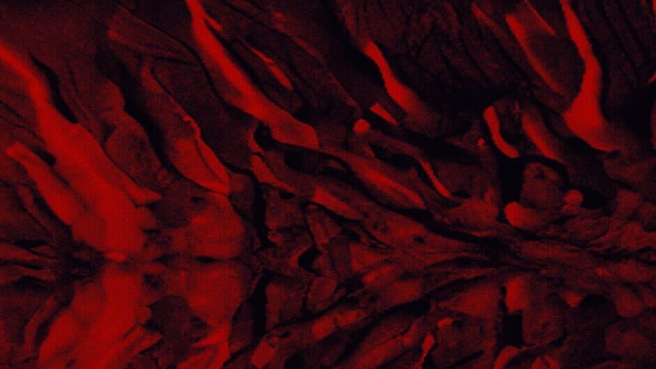 Organ Corruption artwork 1