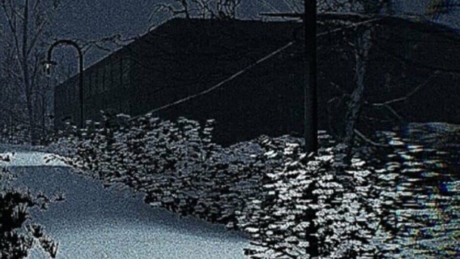 Silent artwork 1