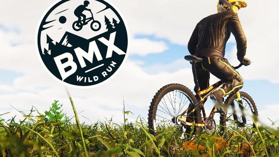 BMX Wild Run artwork 2