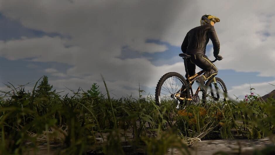 BMX Wild Run artwork 3