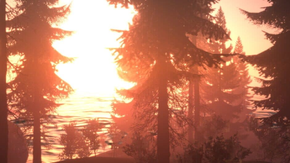Survival Prototype X artwork 1