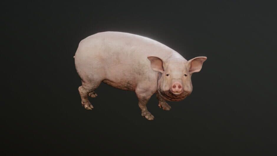 Big Pig artwork 1