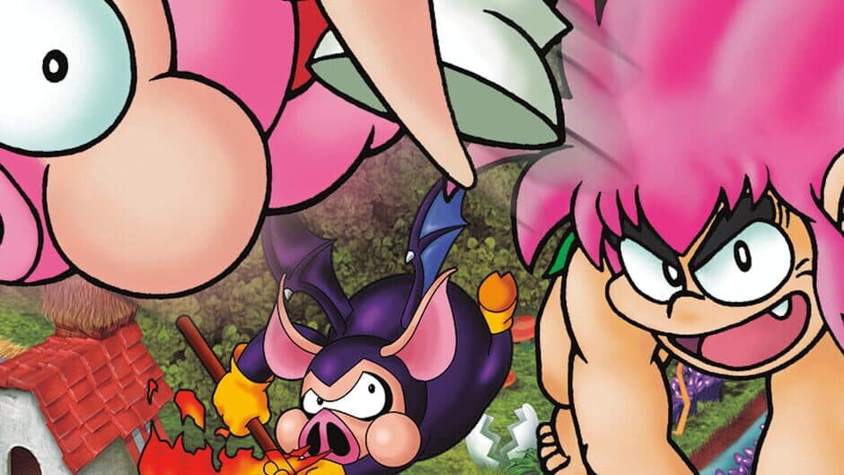 Tomba! Special Edition artwork 1