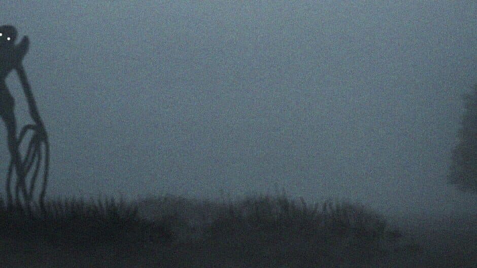 The Man in the Fields artwork 1