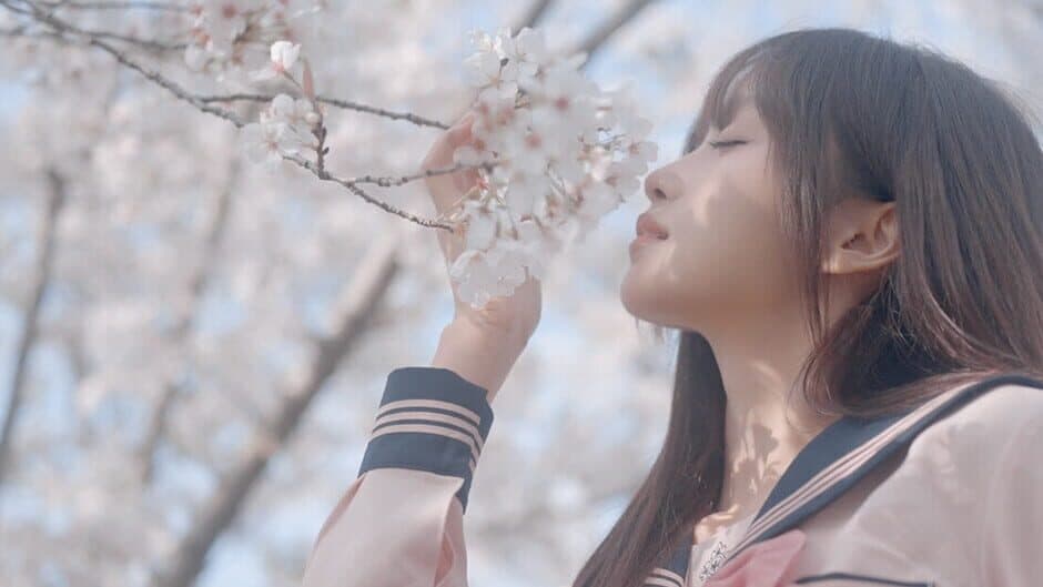 Yixin artwork 1